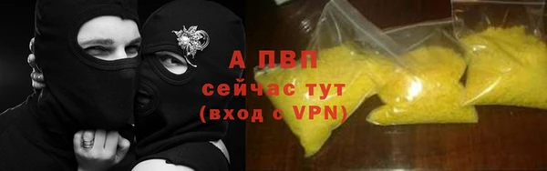 гашик Вязьма